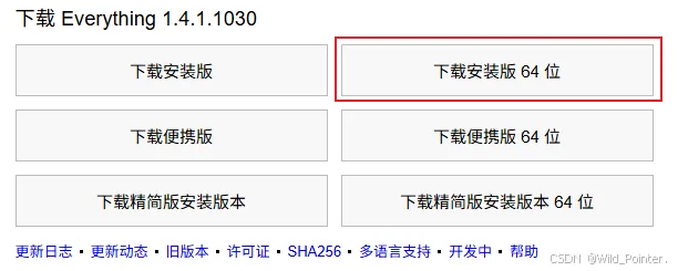 高效工具实战指南：Everything文件搜索工具